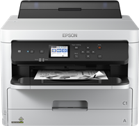 Epson C11CG07401 stampante 
