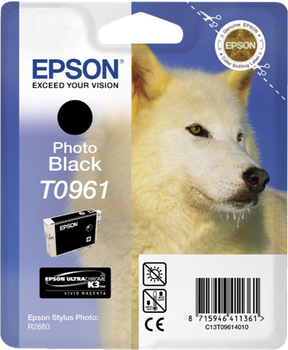 Epson T0961 Nero (Foto) Cartuccia d'inchiostro