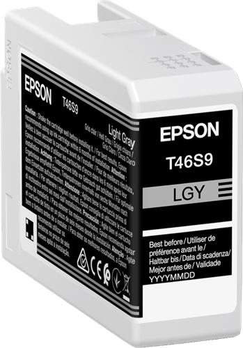 Epson T46S9 grigio (chiaro) Cartuccia d'inchiostro
