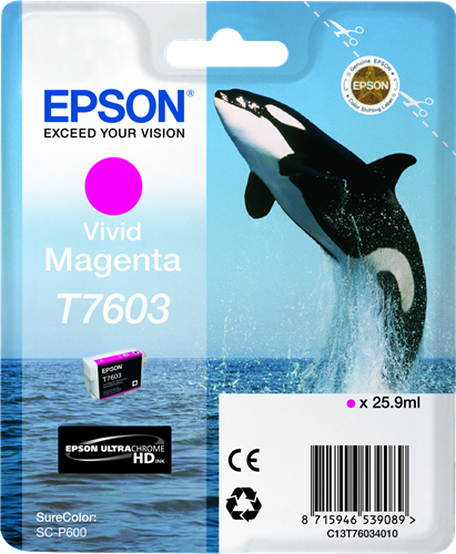 Epson T7603 magenta Cartuccia d'inchiostro